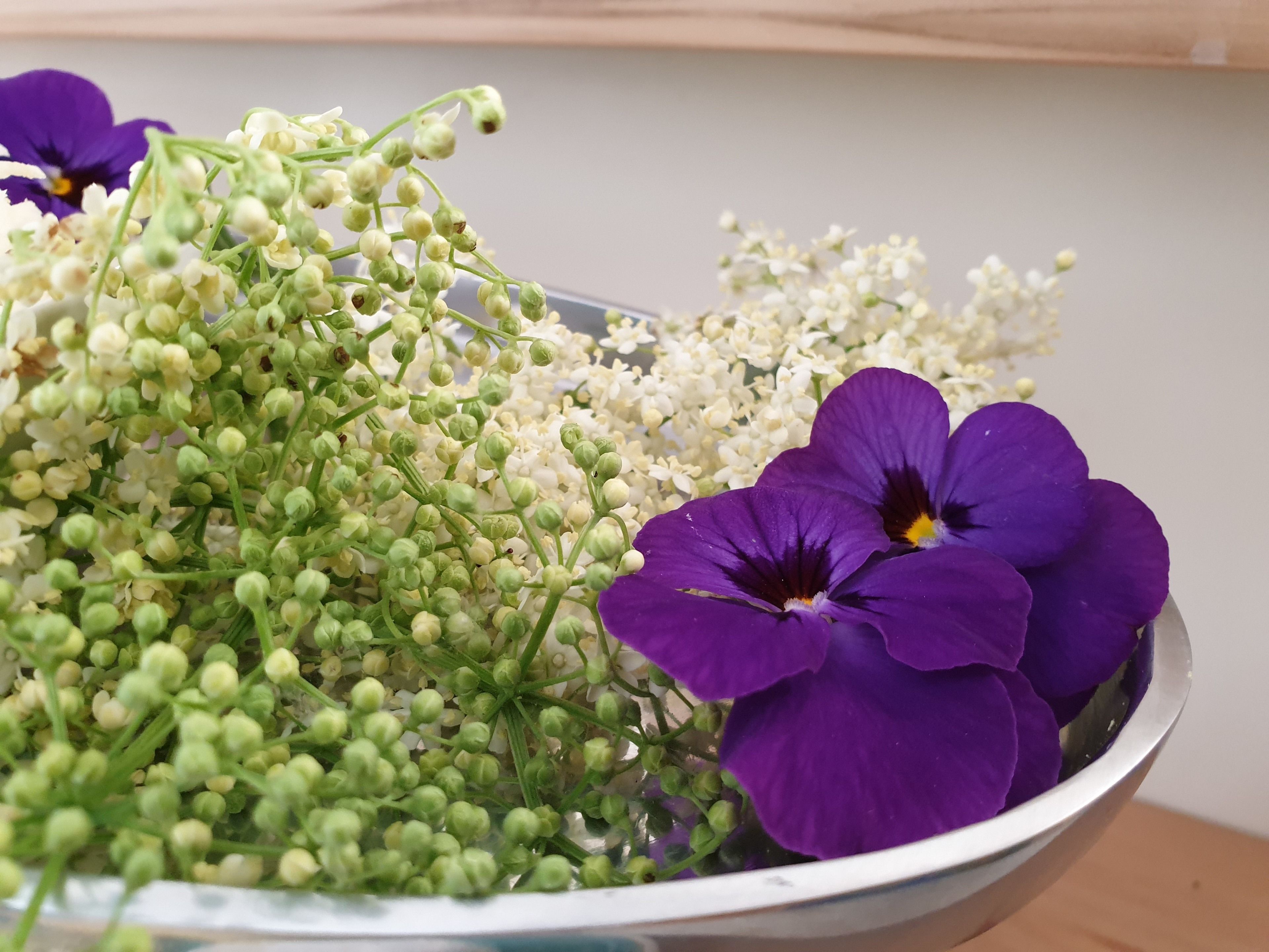 A bowl containing purple flowers and green buds.