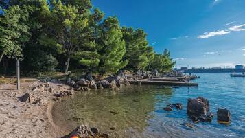 Vlak bij het strand, vissen