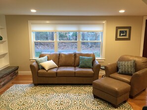 Smart TV, fireplace, books