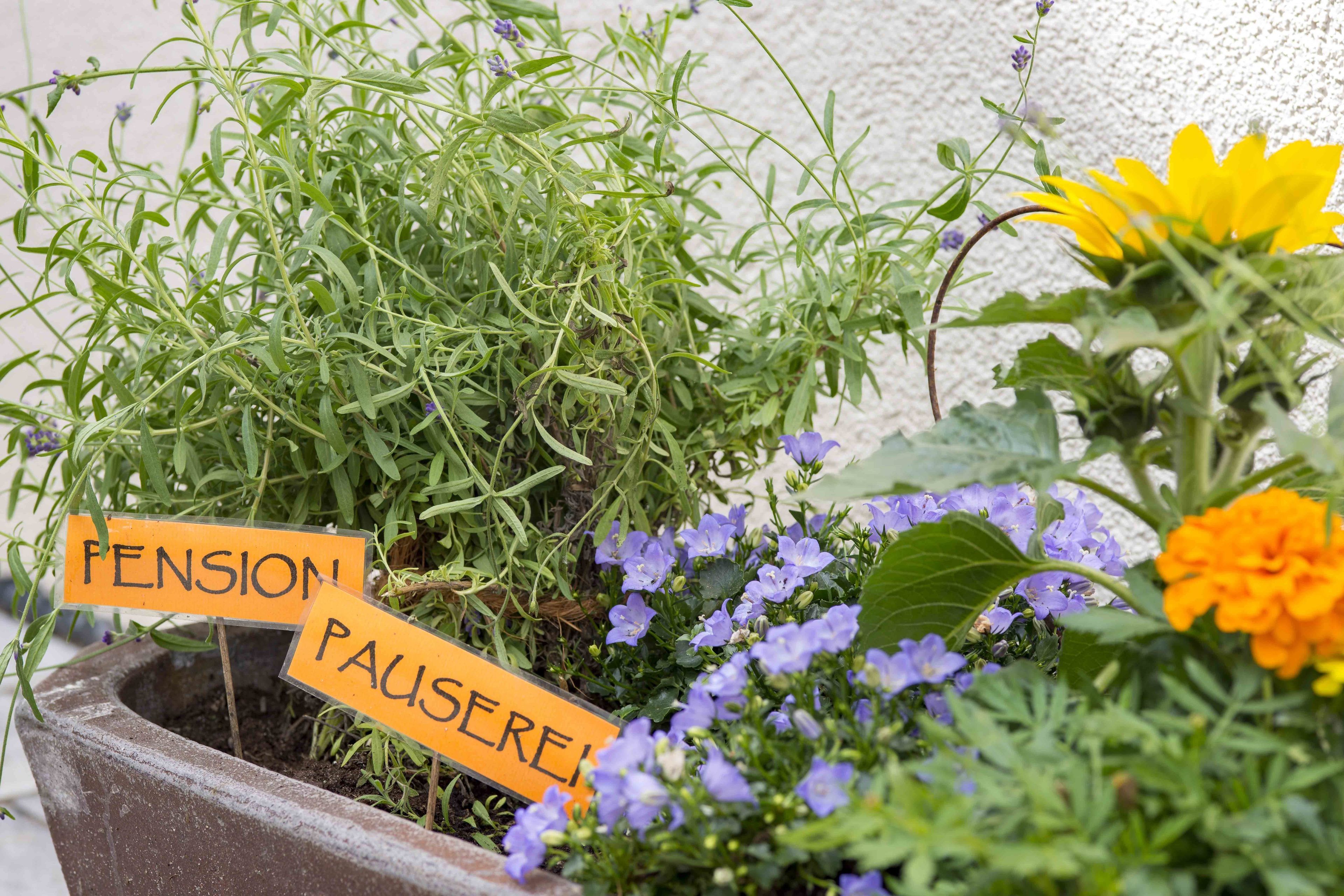 Ein Blumentopf mit einem Schild, auf dem 'FENSION PAUSEREI' steht, und verschiedenen Blumen.