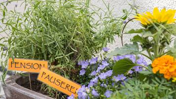 Ein Blumentopf mit einem Schild, auf dem 'FENSION PAUSEREI' steht, und verschiedenen Blumen.