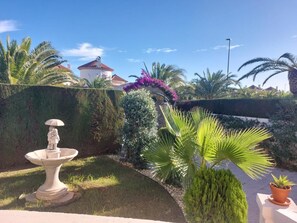 A well-maintained garden with a fountain, palm trees, and a hedge.