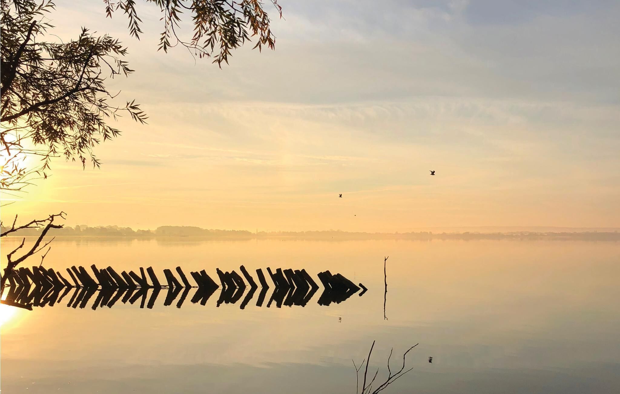 A calm lake at sunrise with a dock extending into the water.