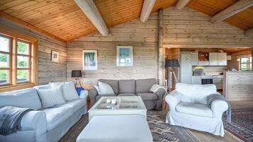 Televisión, chimenea