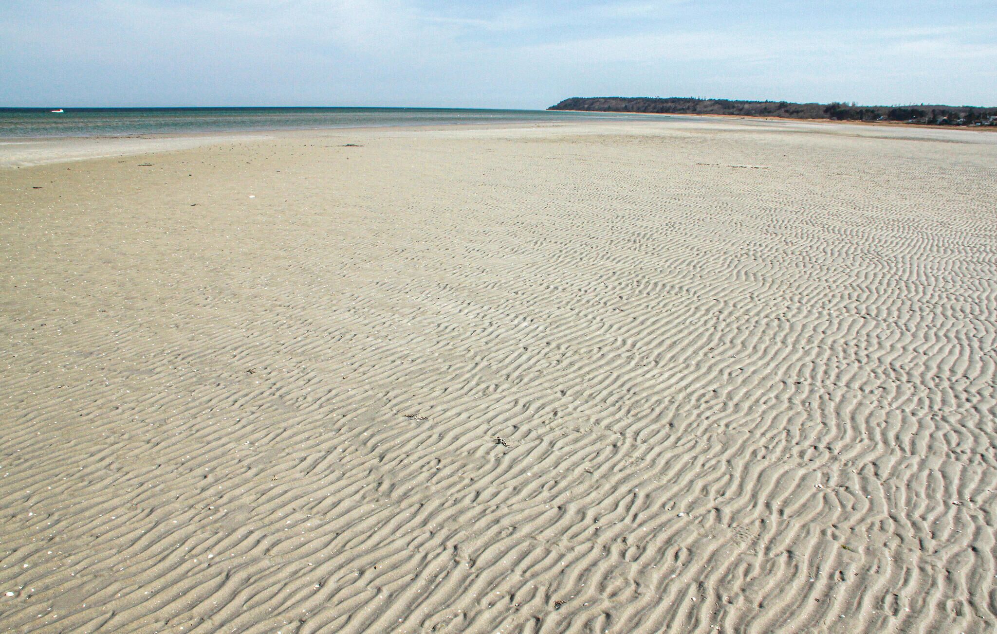 Tæt på stranden