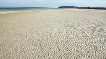 Tæt på stranden