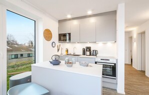 Fridge, stovetop, dishwasher, coffee/tea maker