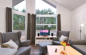 Fernseher, Kamin