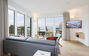 Smart-TV, Kamin