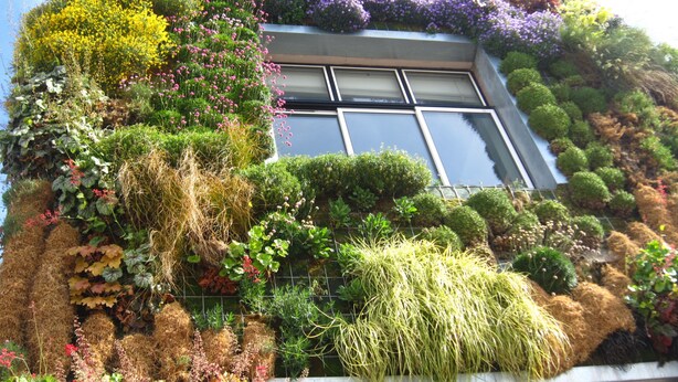 A building with a vertical garden facade, a large window, and a variety of plants. - Vacation home, great views, billiards, large spaces (Manses)