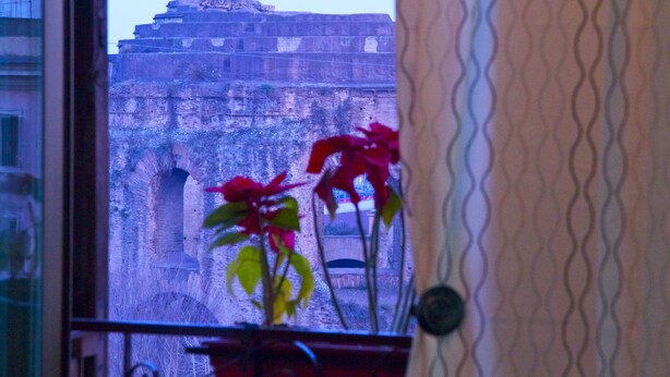 Vista de una estructura de piedra histórica a través de una ventana, con una planta en maceta roja en primer plano.