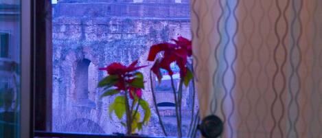 Vista desde la habitación