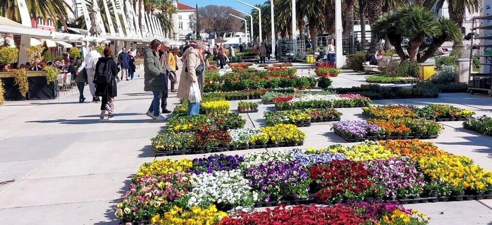 Une place publique agrémentée de parterres de fleurs, où l’on peut voir des gens se promener.