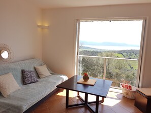 Télévision, cheminée, lecteur de DVD, livres