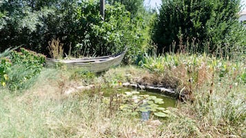 Hồ