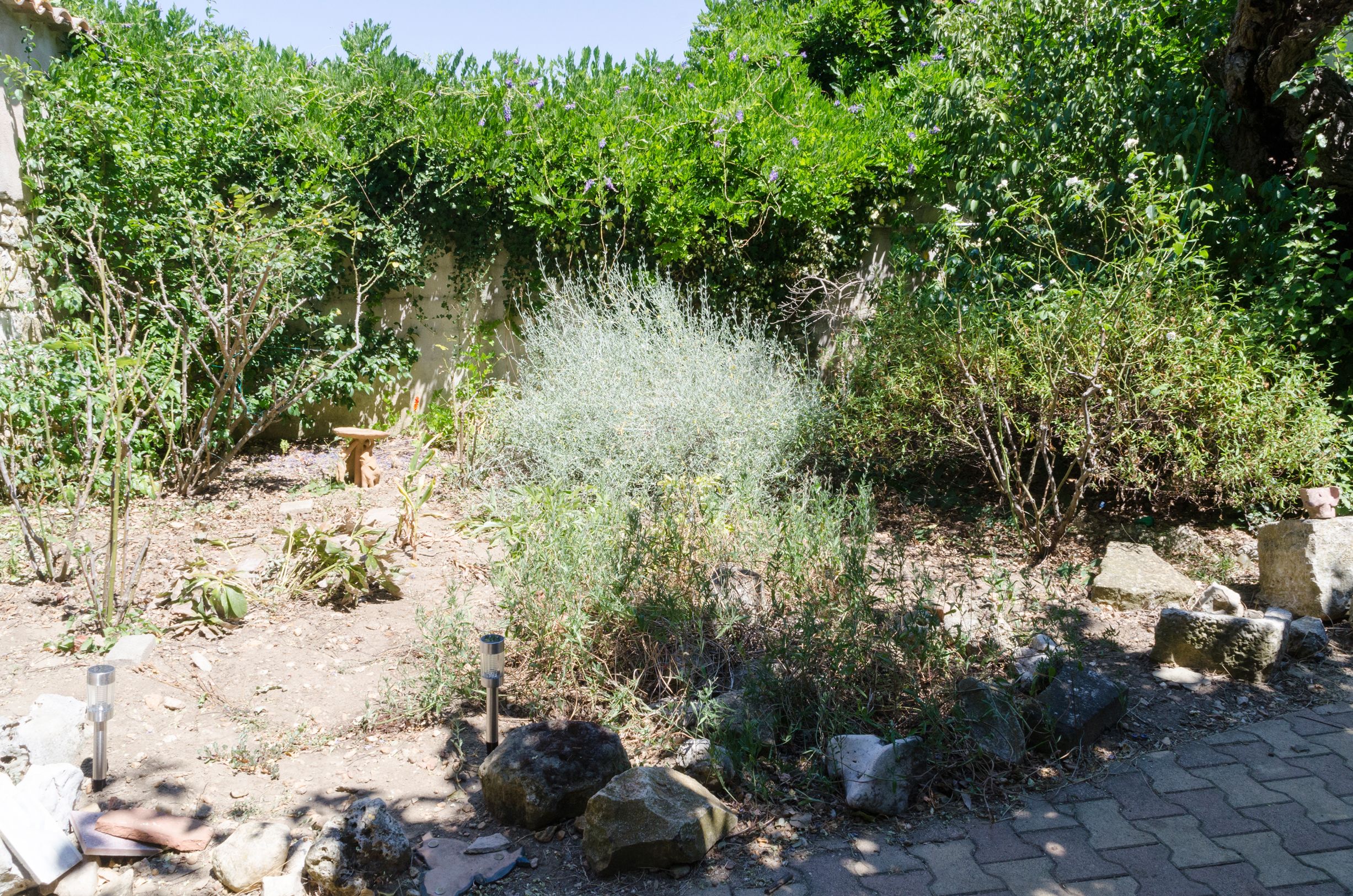 A garden with various plants and rocks, a stone bench, and a paved path.