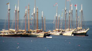 A marina with multiple sailboats docked.