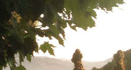 RELAX AND COMFORT - NATURAL SPACE