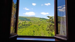 Vista a través de una ventana que muestra un paisaje verde exuberante con colinas y un cielo azul despejado.