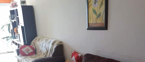 TV, DVD player, books