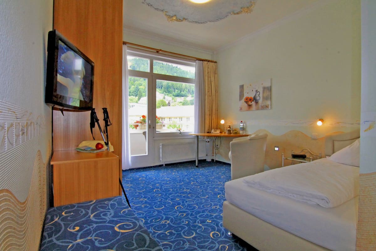 A hotel room with a bed, a desk, a television, and a view of the outdoors.