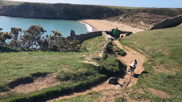 A coastal path with a beach and cliffs. - Elm Grove Country House (Tenby)