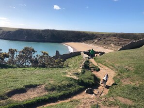A coastal path with a beach and cliffs. - Elm Grove Country House (Tenby)