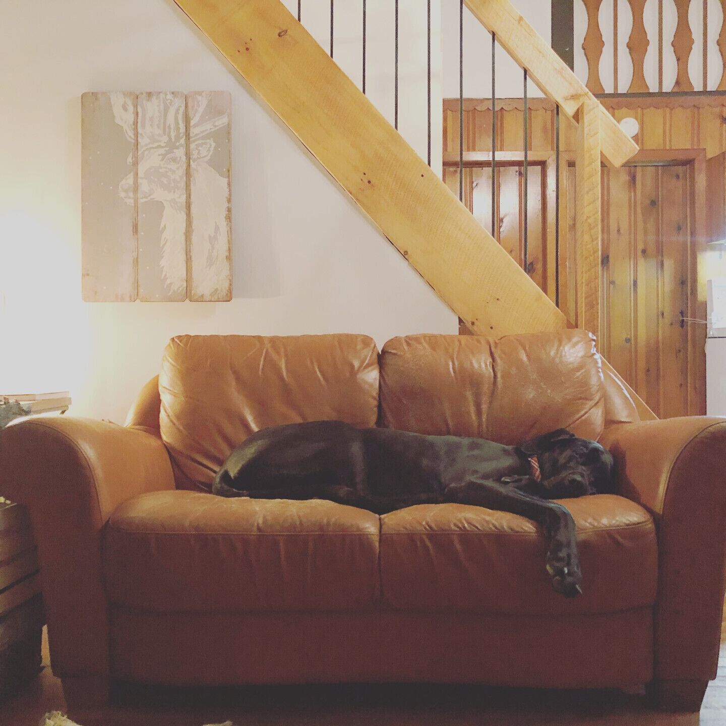 The Village Suisse Chalets in Val-David