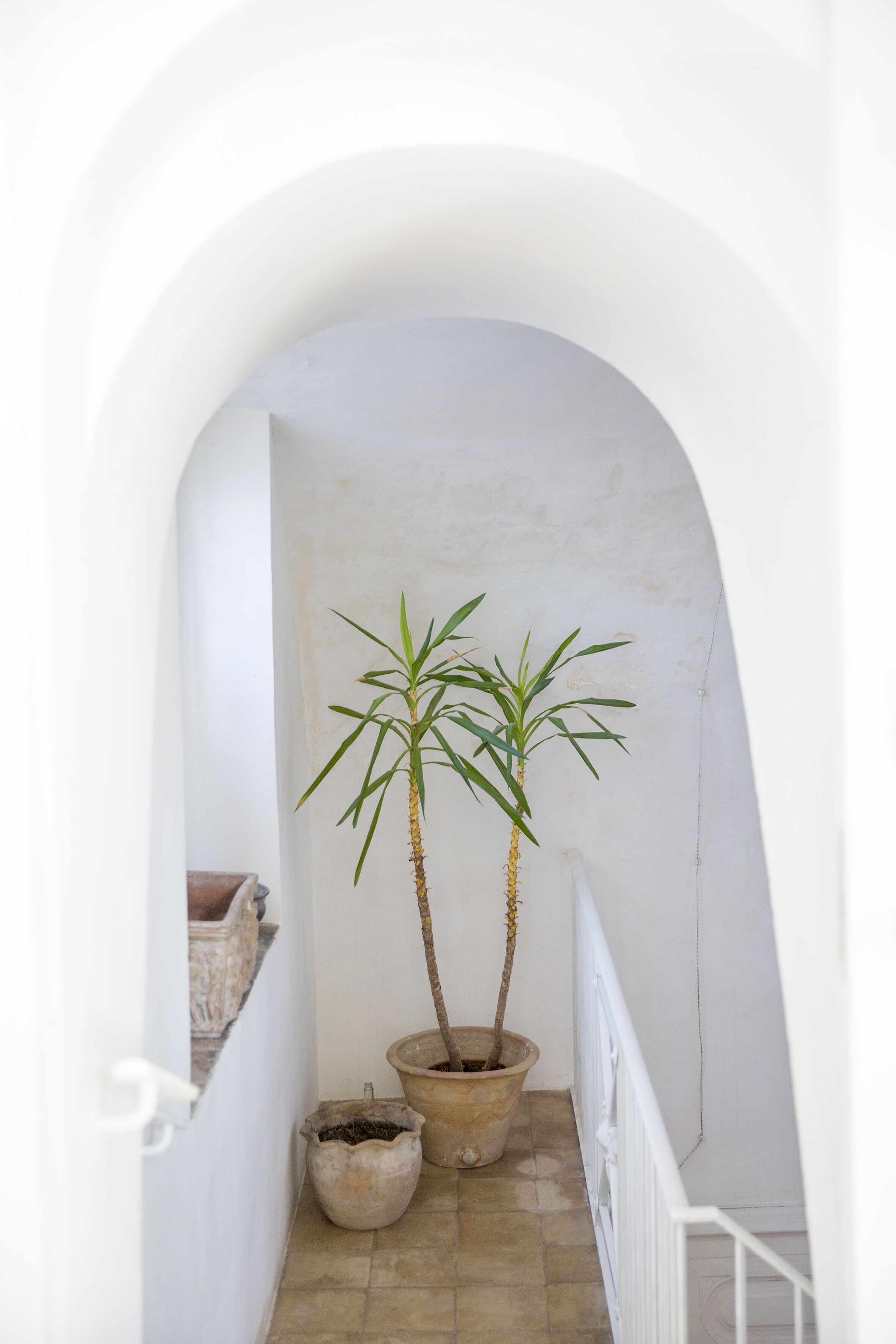 Un corridoio stretto con un arco bianco, due piante di bambù in vaso e un pavimento piastrellato.