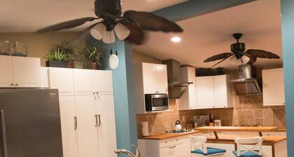Huge Modern Waterfront Private Professional Set Green Foodie Dream Kitchen