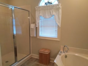 Combined shower/tub, hair dryer, towels