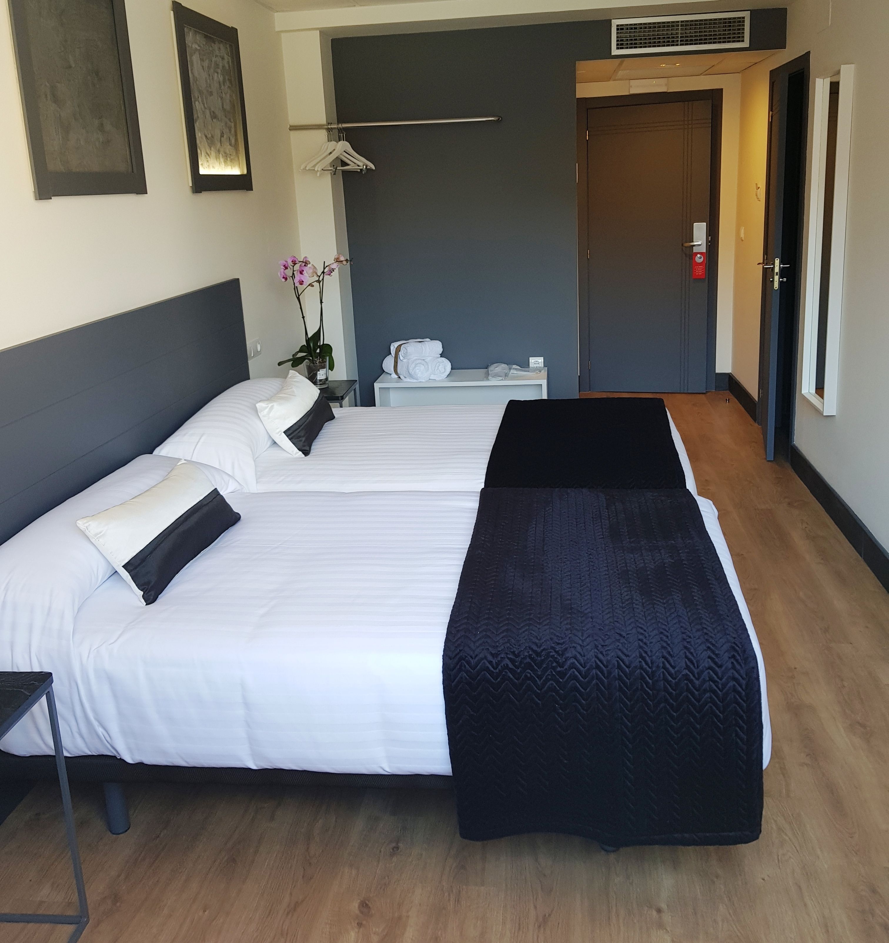A hotel room with two beds, a bedside table, a small table with towels, a potted plant, and a door.