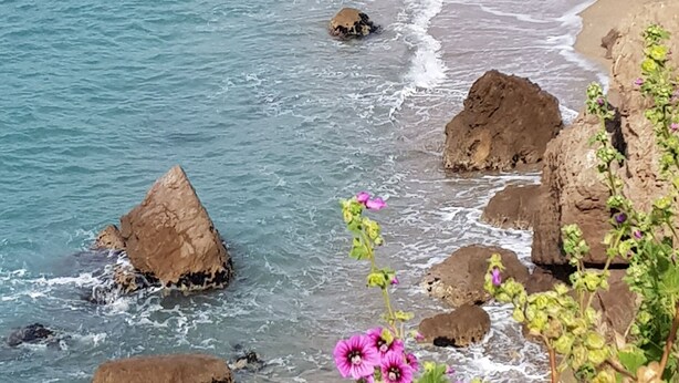 海滩