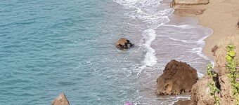 Sea and pond view in magnificent grounds, independent T3 apartment in house.