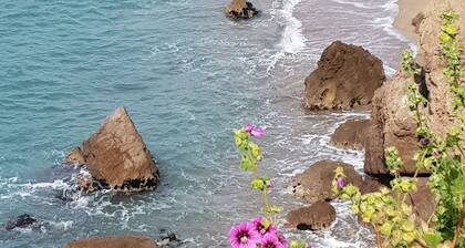 Sea and pond view in magnificent grounds, independent T3 apartment in house.