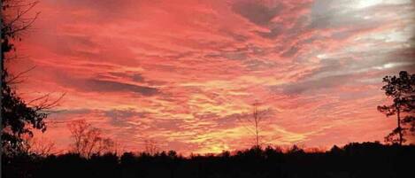 Solnedgang over et landligt landskab med hegn og træer.