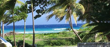 Beach nearby, beach towels