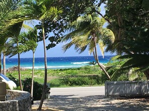 A coastal road with palm trees and a view of the ocean. - Caymanian Style Home
w/ Pool, Pickle Ball Court, Optional Private Bar
 (Rumpoint)