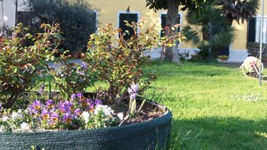 Un jardin avec différentes plantes et fleurs devant un bâtiment jaune doté de fenêtres.
