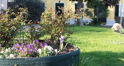 Casa Magnolia vain 3 km päässä Lucca, Wi-Fi ja ilmainen pysäköinti