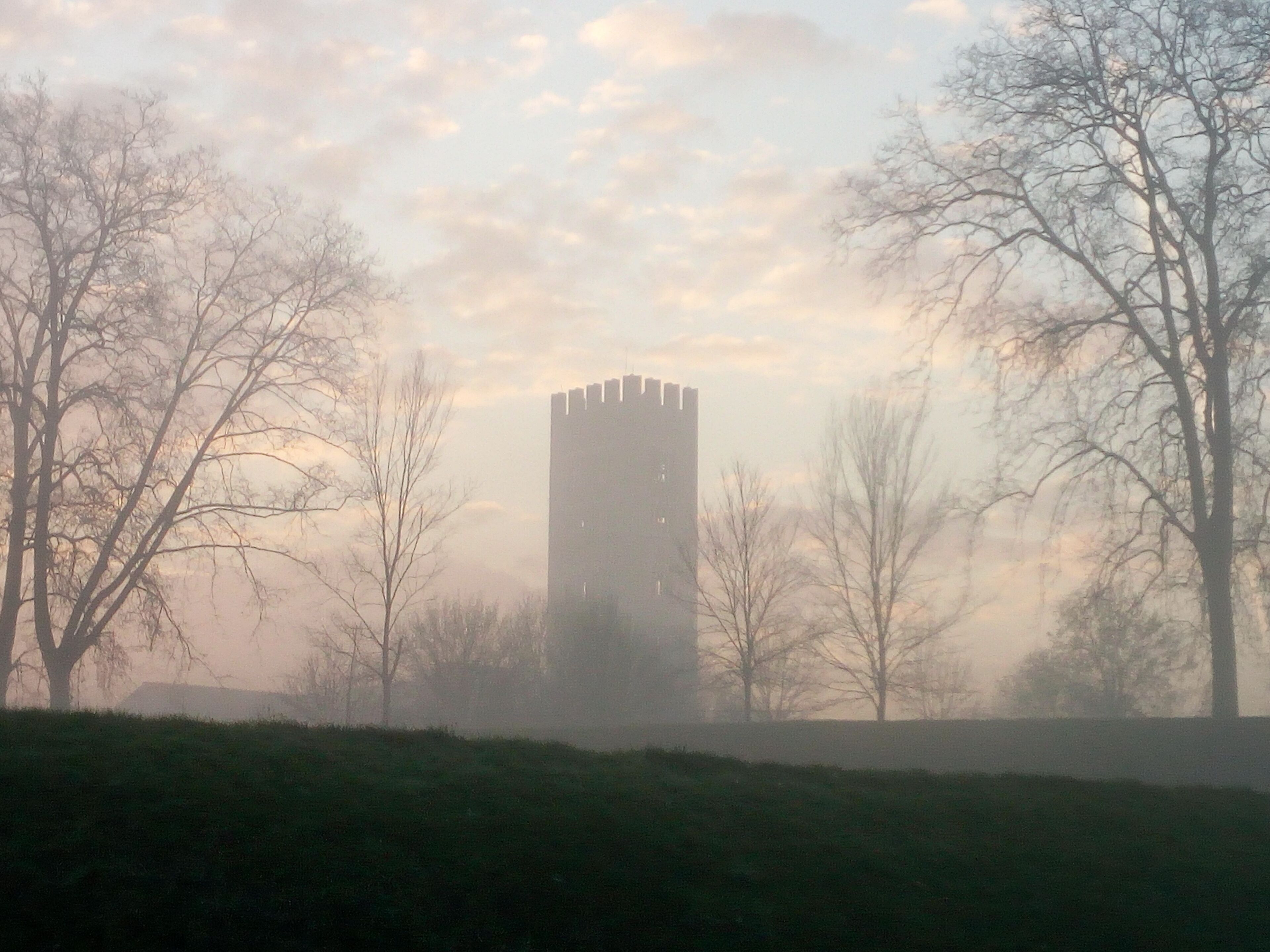 A tower surrounded by leafless trees and a grassy foreground.