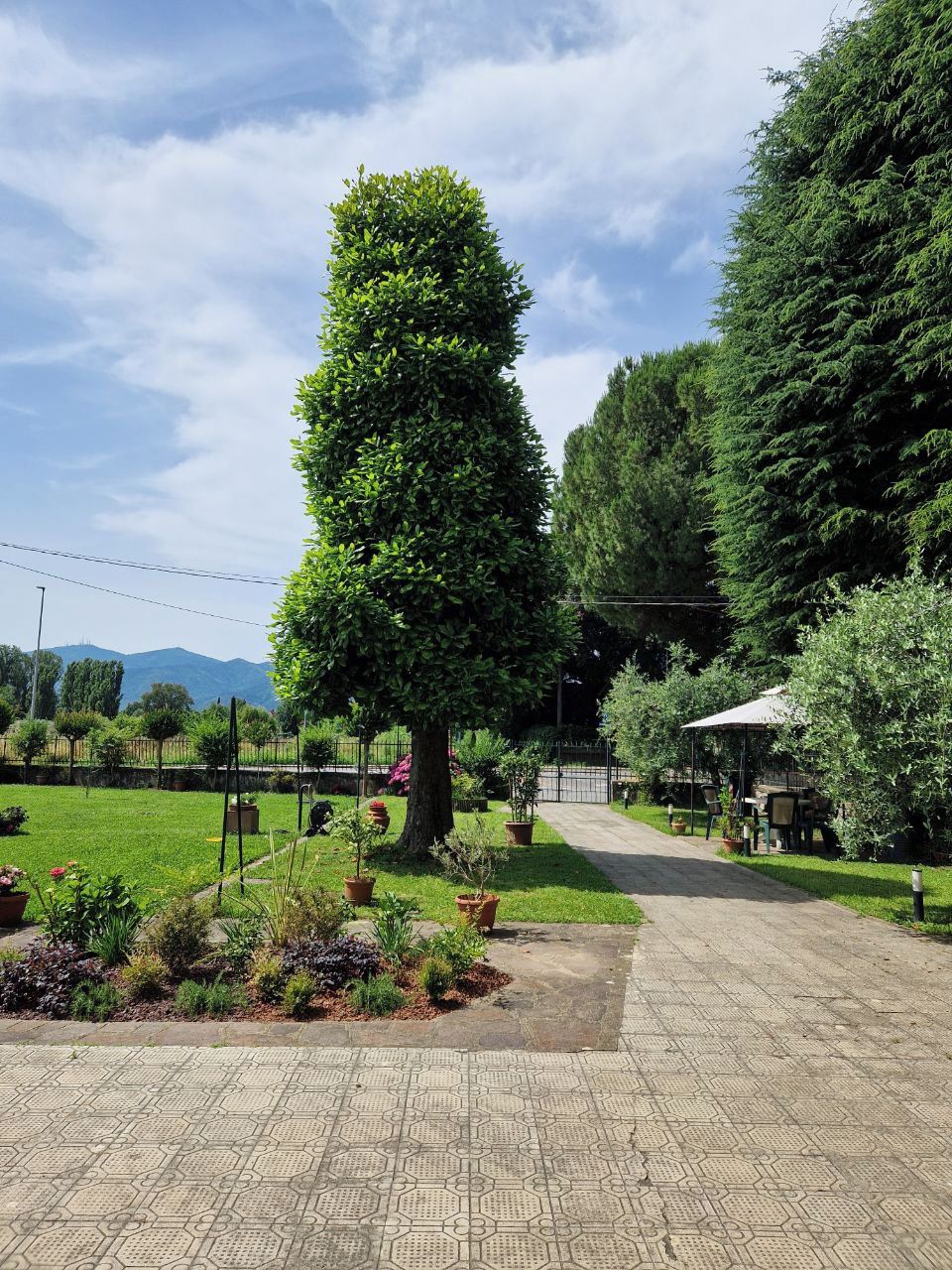 Ein gepflasterter Weg schlängelt sich durch einen angelegten Garten mit vielfältigen Pflanzen und Bäumen.