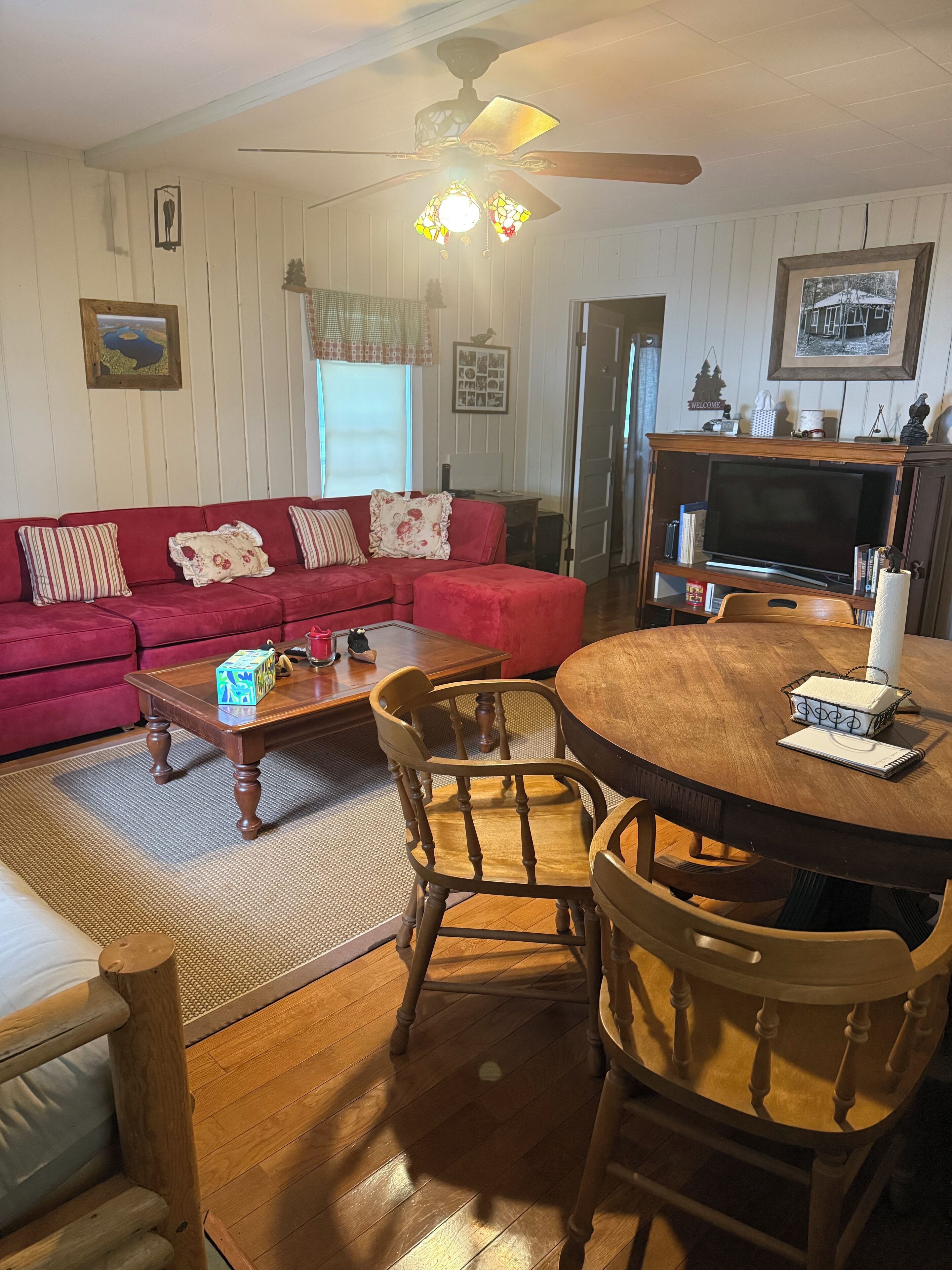 Smart TV, DVD player, books, video library