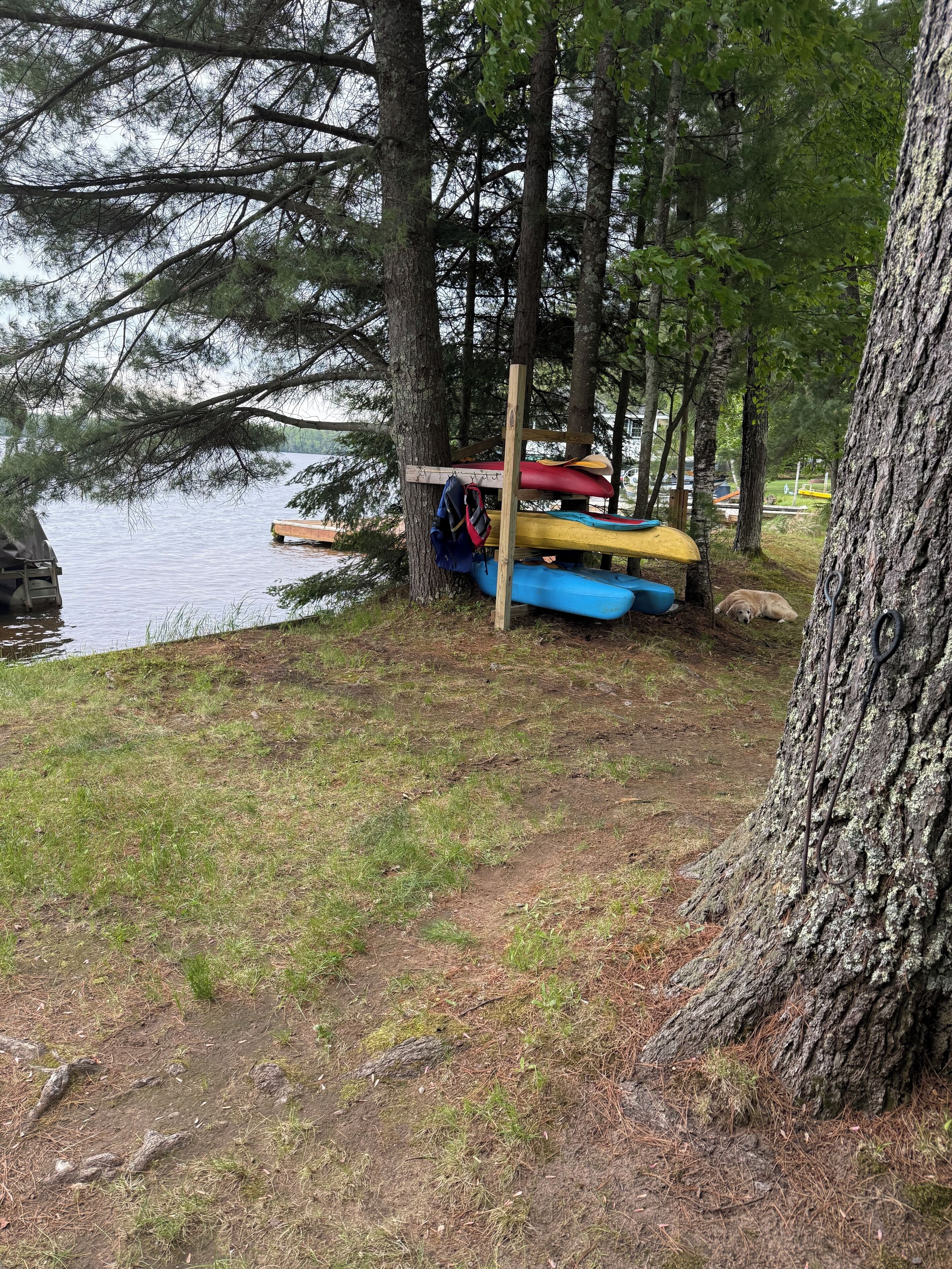 Un muelle con kayaks y un perro cerca de un lago rodeado de árboles.