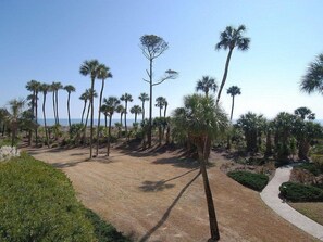 Property grounds - Windsor Court N 4109 (Hilton Head Island)