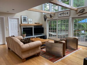 TV connectée, cheminée, lecteur de DVD, livres