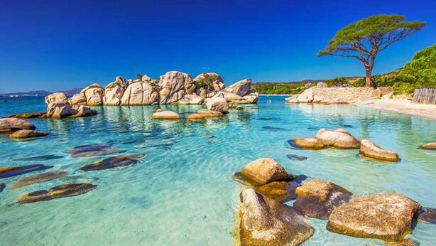 A clear coastal scene with large rocks in shallow water, a tree, and a distant shoreline. - Magnificent air-conditioned villa with private pool, 2 bedrooms 2 bathrooms (4 people) (Porto-Vecchio)