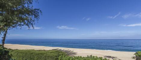 A beach with clear blue water, a sandy shore, and some greenery in the foreground.