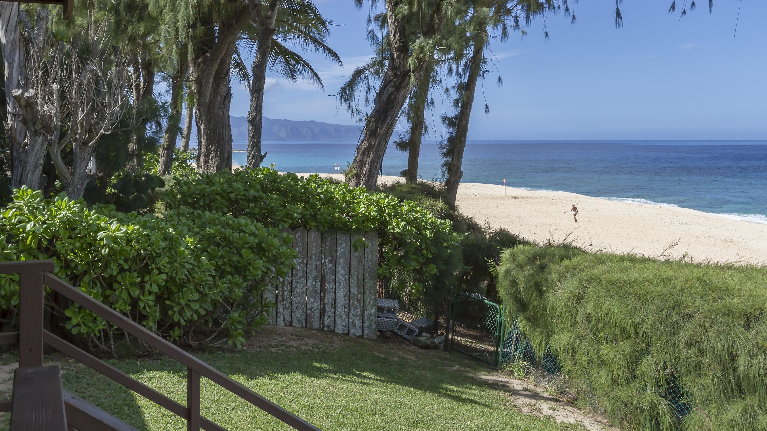 Une plage avec une clôture en bois et une végétation luxuriante au premier plan.