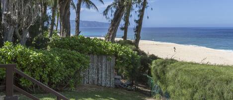 A beach with a wooden fence and lush greenery in the foreground.